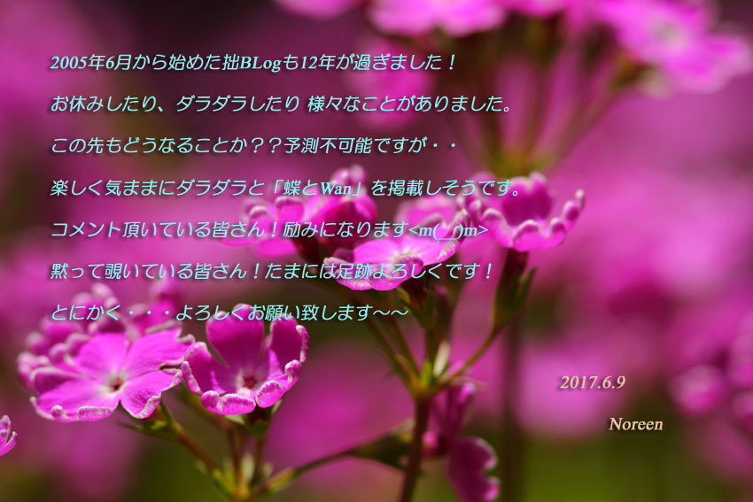 d0069235_06200681.jpg