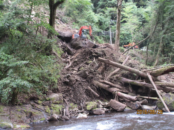f0343947_11071473.jpg