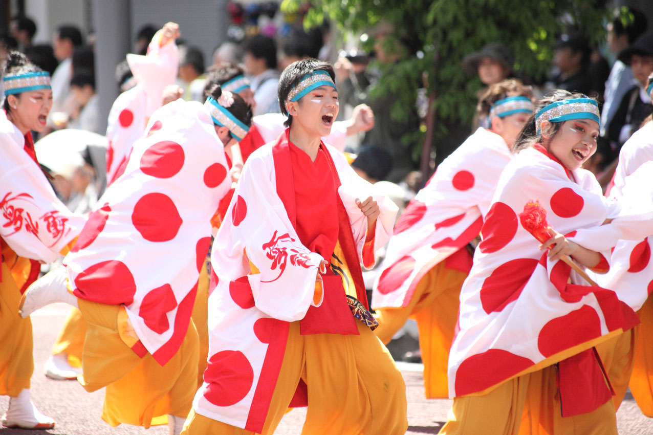 第14回 湘南よさこい祭り2017【11】 _c0299360_23292314.jpg