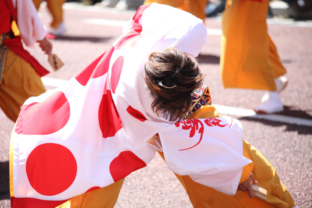 第14回 湘南よさこい祭り2017【11】 _c0299360_2331062.jpg