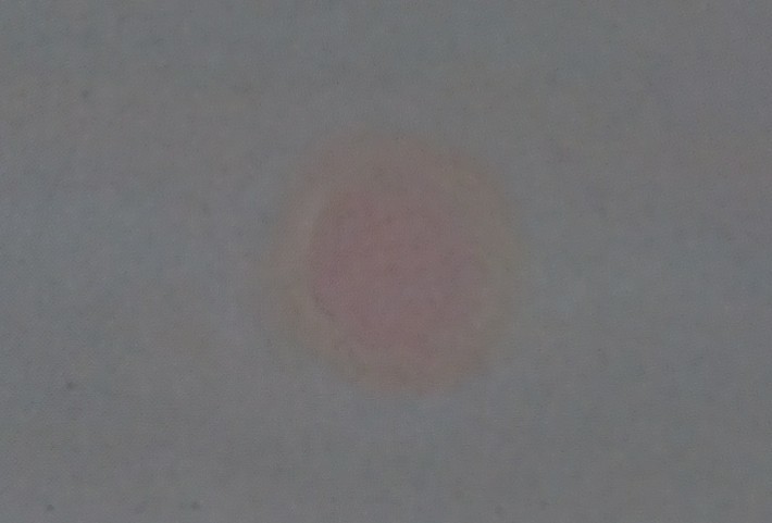 d0362666_15054300.jpg