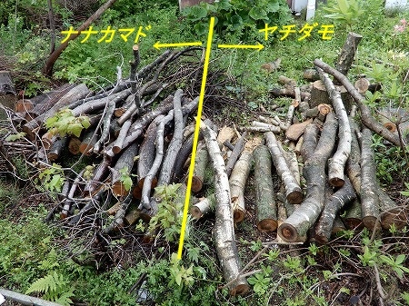 薪 ヤチダモ 1㎥