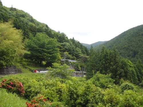 d0279976_10044969.jpg