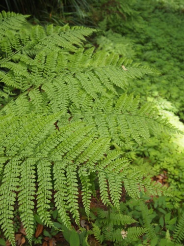 d0279976_10103020.jpg