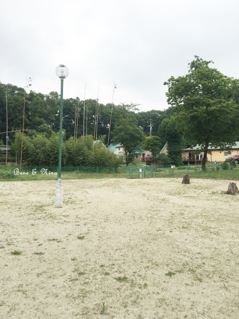 c0283778_16281419.jpg