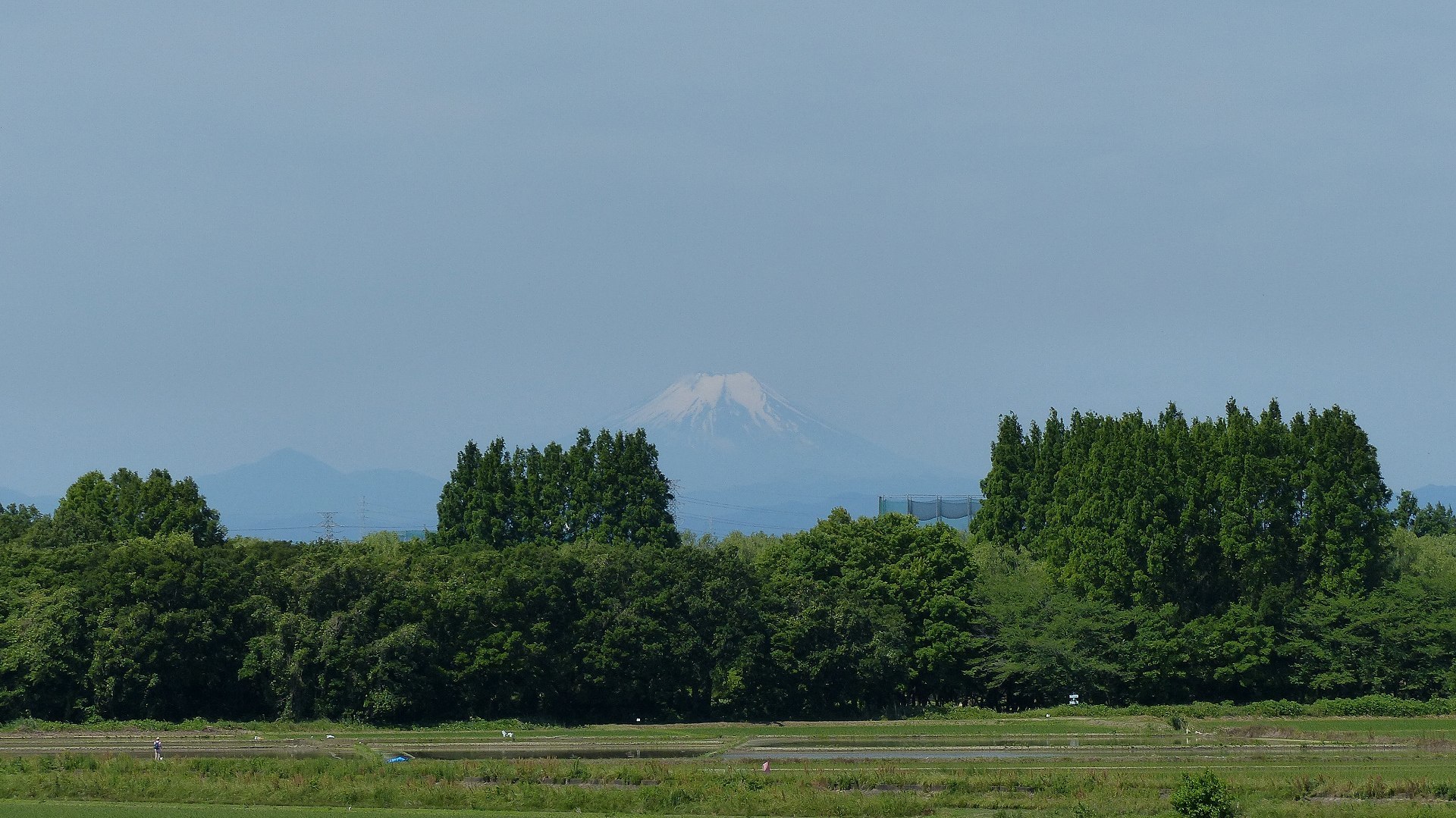 こんなの飛んでました_a0185081_12202816.jpg