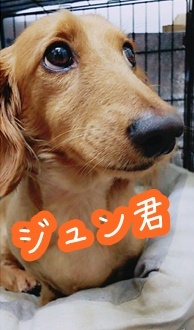 初めまして!竹内です♪_f0357682_12573637.jpg