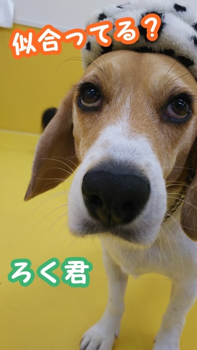 初めまして!竹内です♪_f0357682_12573727.jpg