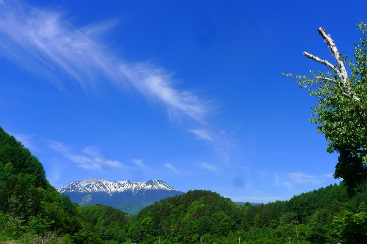 ６月９日、「夕刊」可愛い１５歳！_a0130586_18292812.jpg