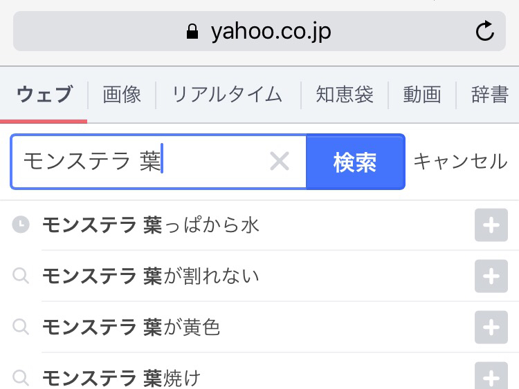 フローラベースの謎の水漏れ、その後。そして久しぶりに晩ごはん。_a0341288_20144248.jpg