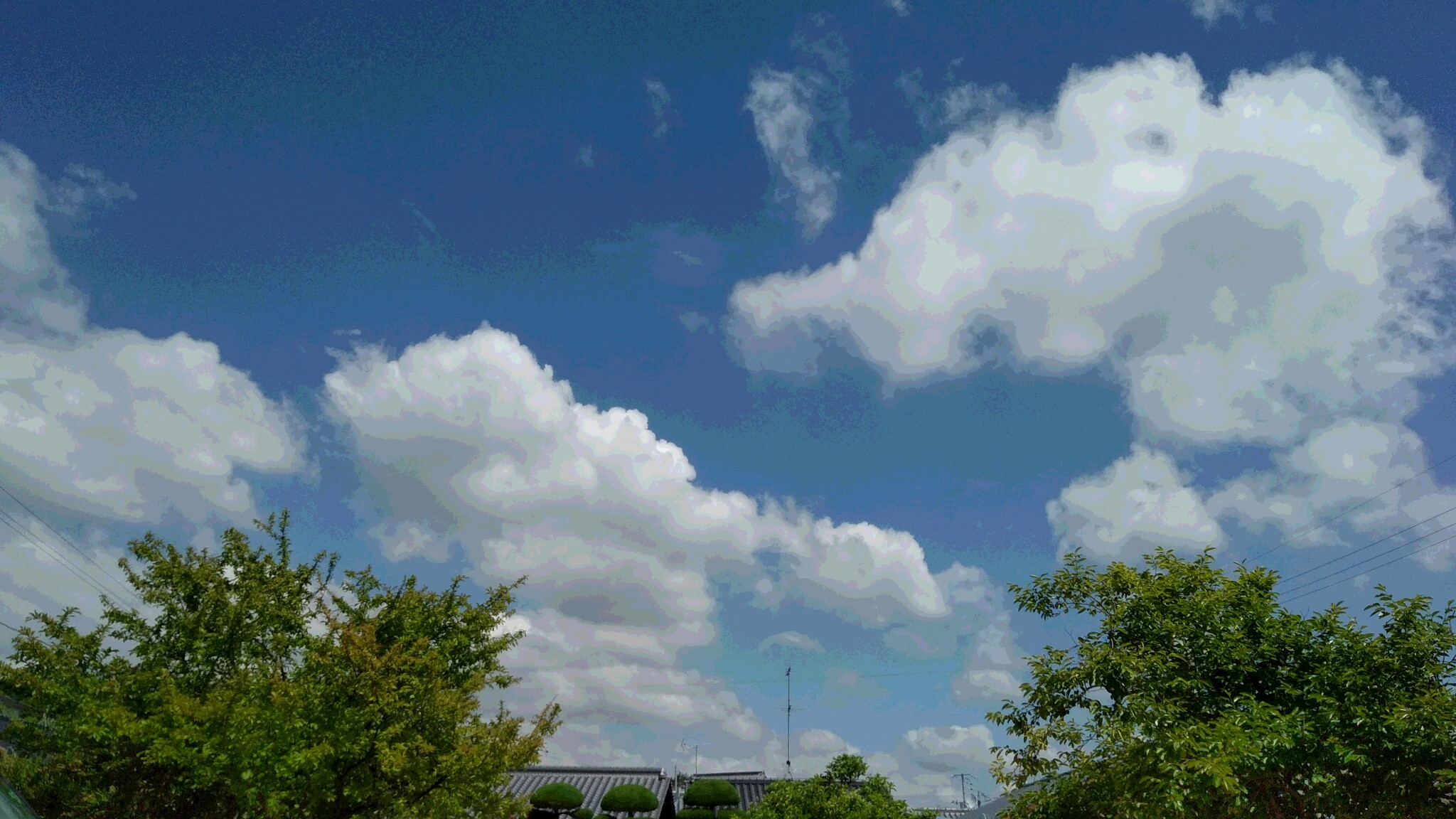 d0124895_21171330.jpg