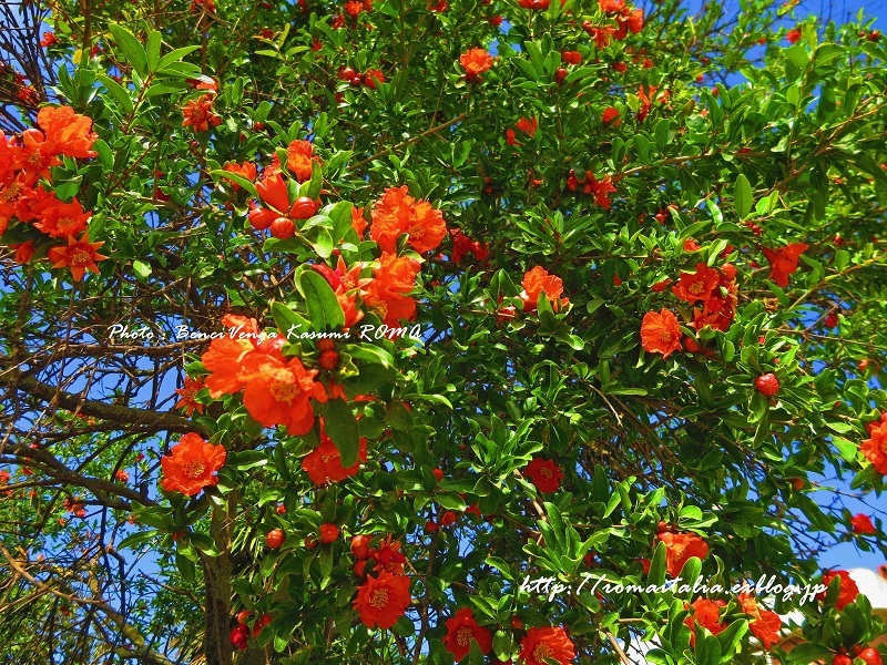 b0096600_04260591.jpg