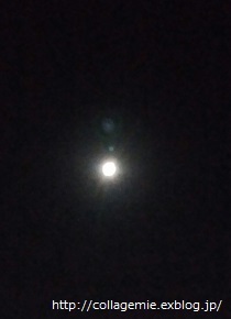 a0223701_05094648.jpg