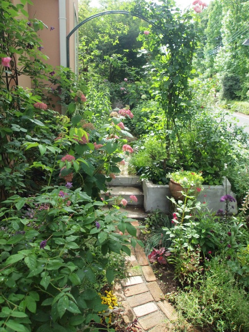 たまには書こう自分の庭 バラからクレマチスやアジサイへ あけの秘密の花園