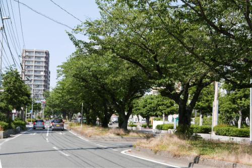 復興の街を歩く 八幡（福岡県）_d0147406_00385427.jpg