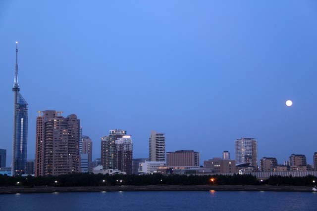 b0061108_07583542.jpg