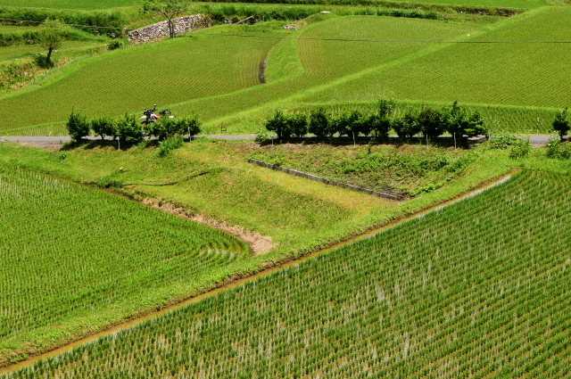 f0368610_05283387.jpg