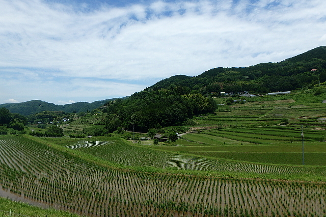 f0368610_05285101.jpg