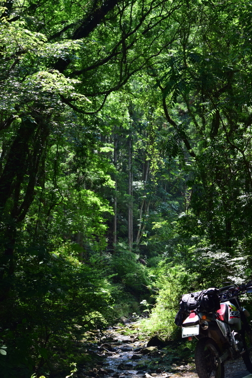 f0368610_05293700.jpg