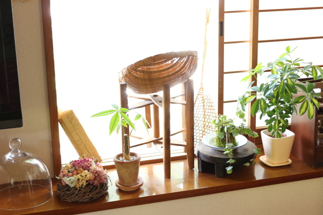 梅雨の合間の晴れの日には。。。全部干す！_f0354014_21194626.jpg