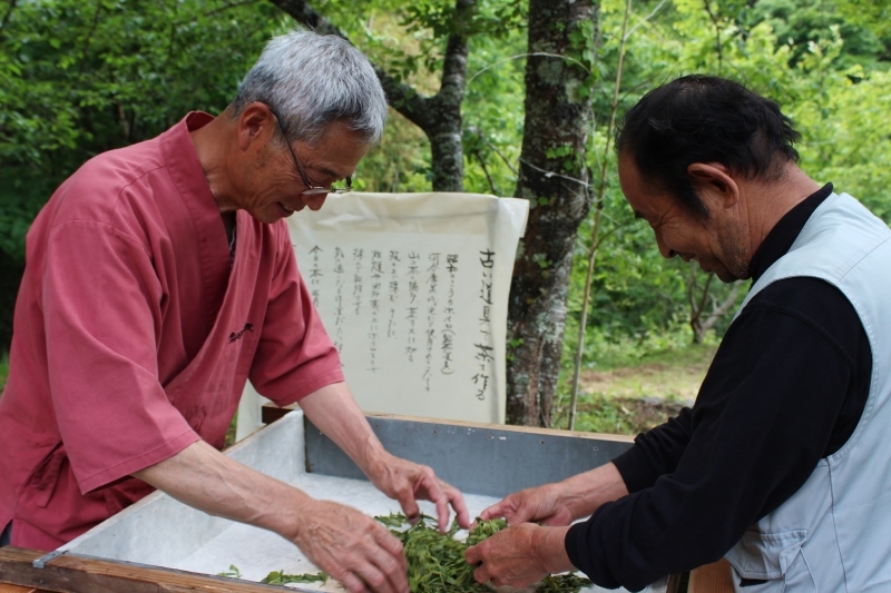 デカス：感謝感謝の東大見_b0220318_14300940.jpg