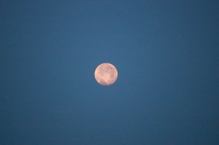 f0348831_04471805.jpg