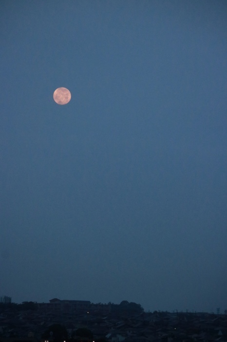 f0348831_04472067.jpg