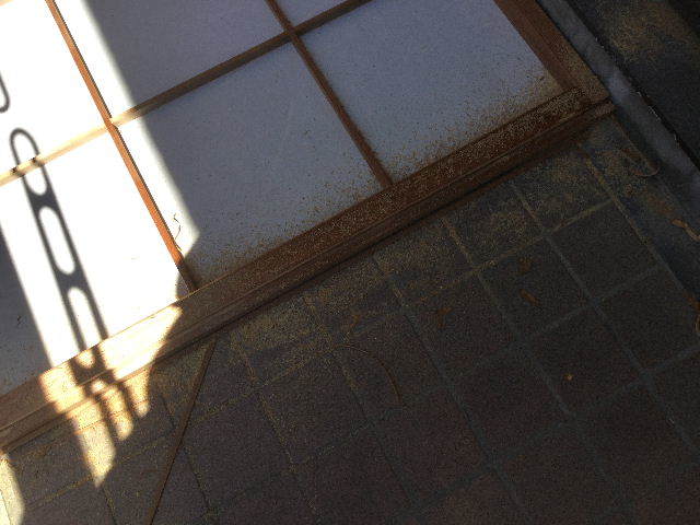 モリモリ沢山、ファイト~~♪_f0031037_05162142.jpg
