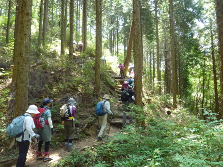 夏山トレーニング『有馬三山』_c0218841_20574036.jpg