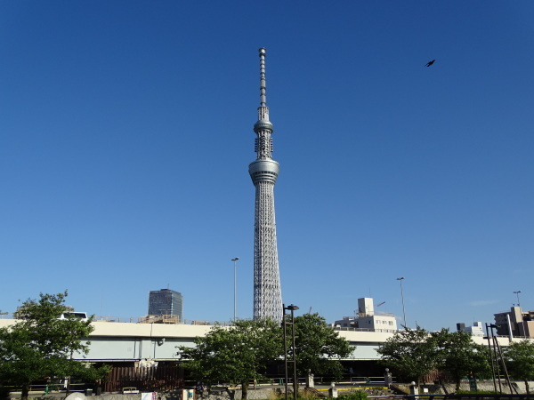 d0361258_13475388.jpg
