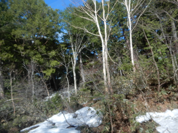 e0345868_23584107.jpg