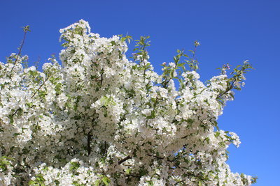 c0353373_03535850.jpg