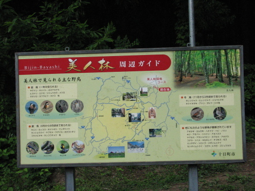 f0259373_11402878.jpg