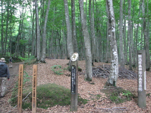 f0259373_11405921.jpg