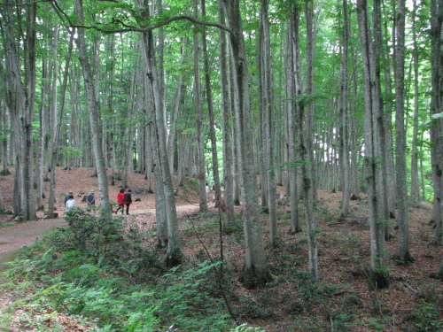 f0259373_11410839.jpg