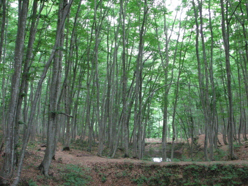 f0259373_11411970.jpg