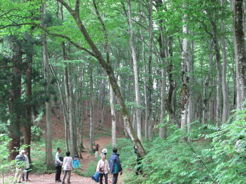 f0259373_11413414.jpg
