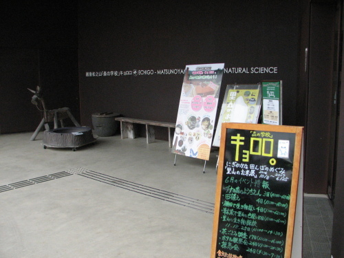 f0259373_11541303.jpg