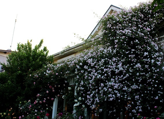 d0099791_01305454.jpg