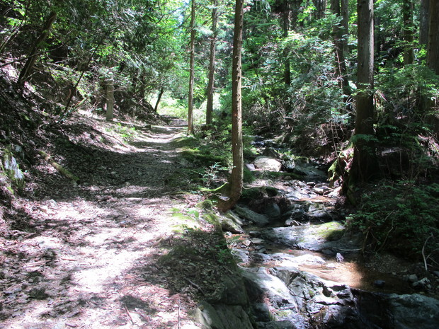 a0166196_18096.jpg