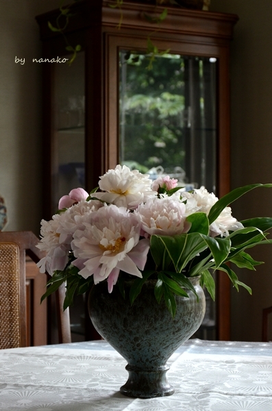今年も芍薬を飾ります わたしいろ
