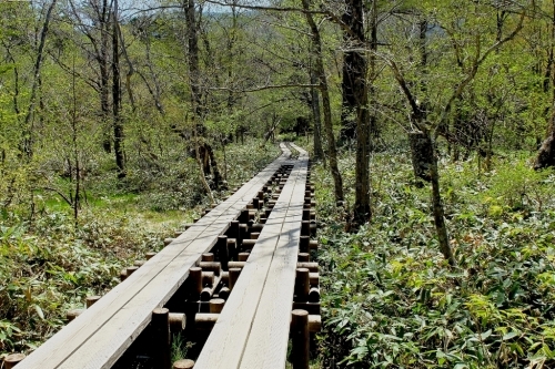 e0304001_07422452.jpg