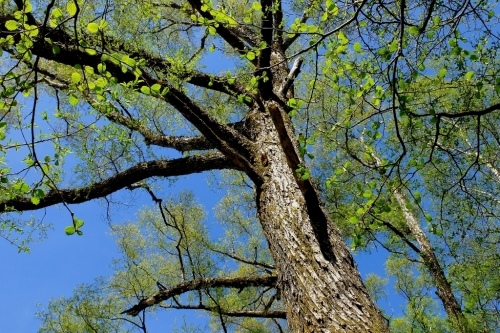 e0304001_20002057.jpg