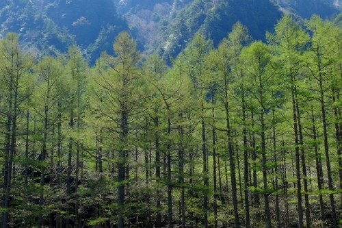 e0304001_20002278.jpg