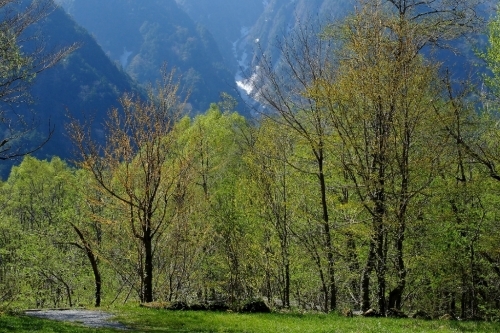 e0304001_20002309.jpg