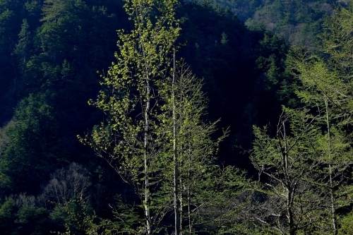 e0304001_20002681.jpg