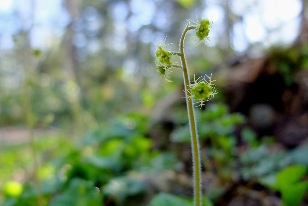 e0304001_20143069.jpg