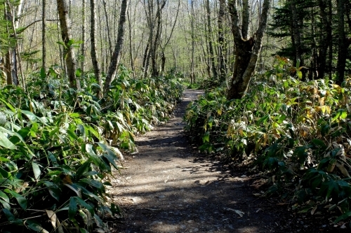 e0304001_20244670.jpg
