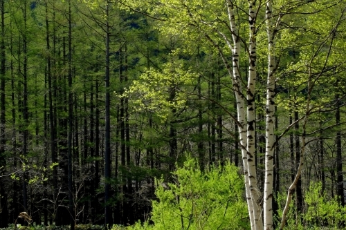 e0304001_20244915.jpg
