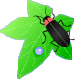 f0231709_08555967.gif